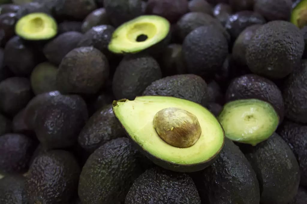 Mexican Foods And Ingredients Avocado