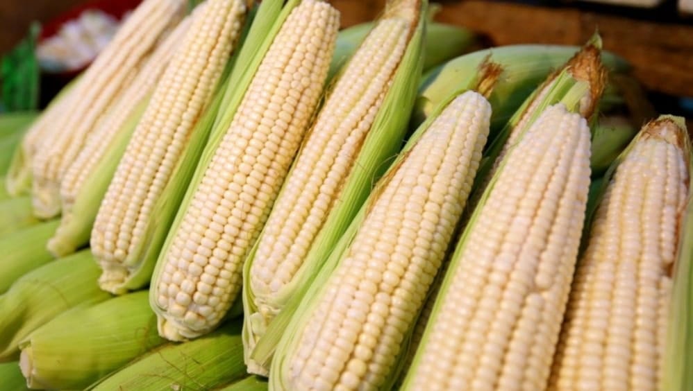 mexican foods and ingredients