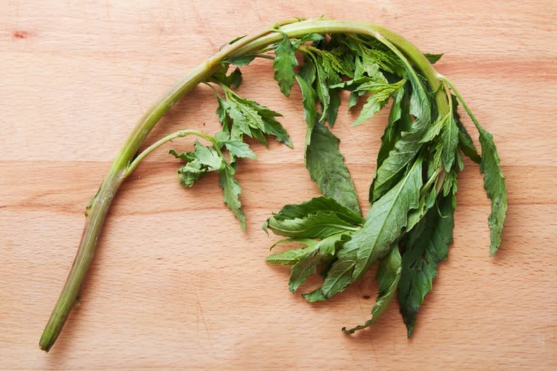 mexican spices — Mexican Spices And Herbs