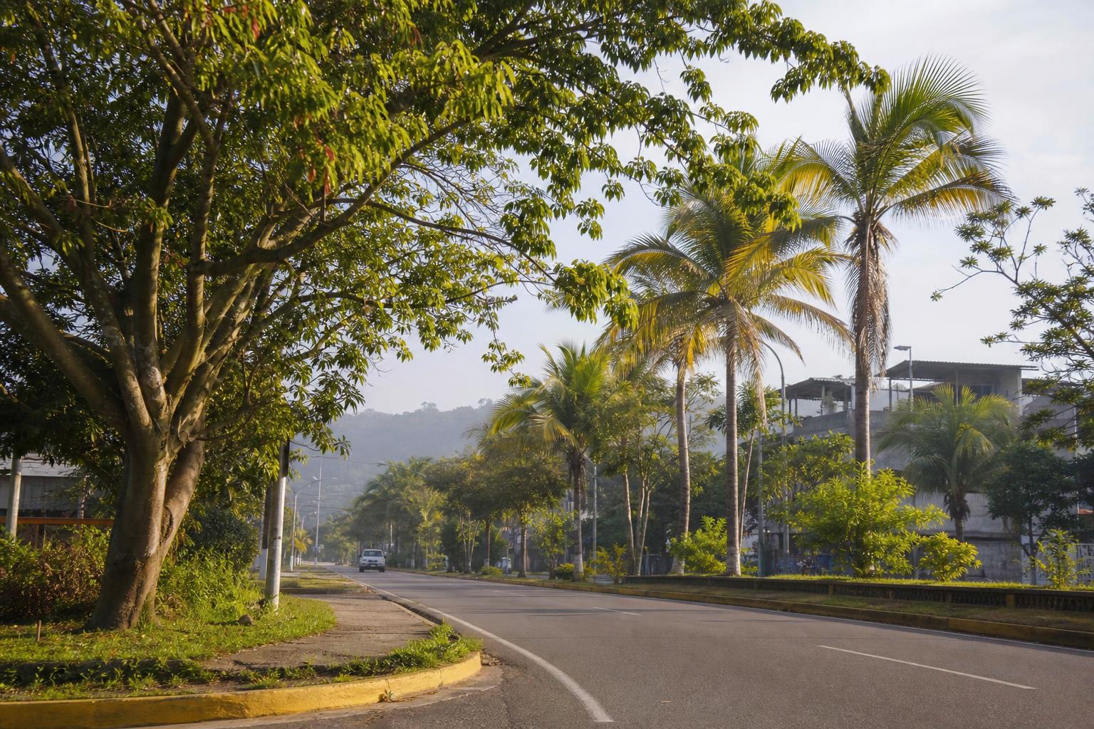 Dry January morning road scene in Minatitlan with tropical southern Veracruz greenery