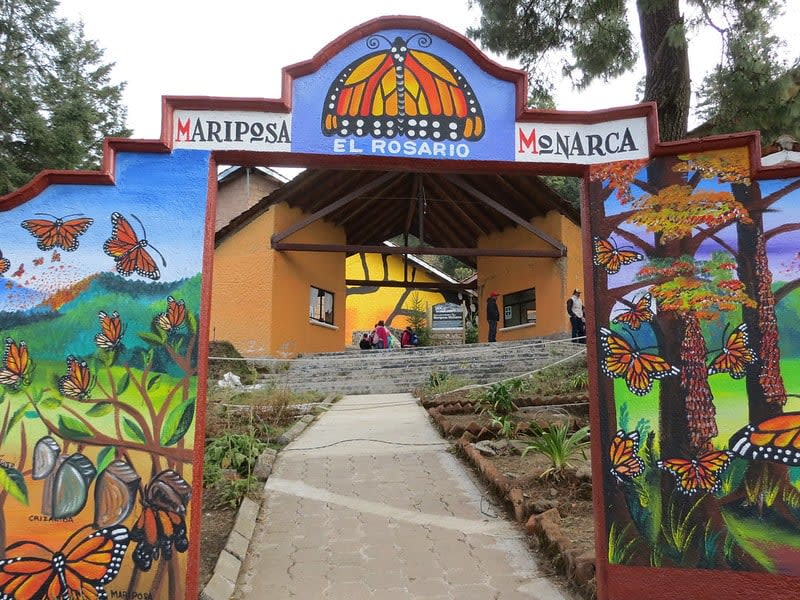 monarch butterflies mexico