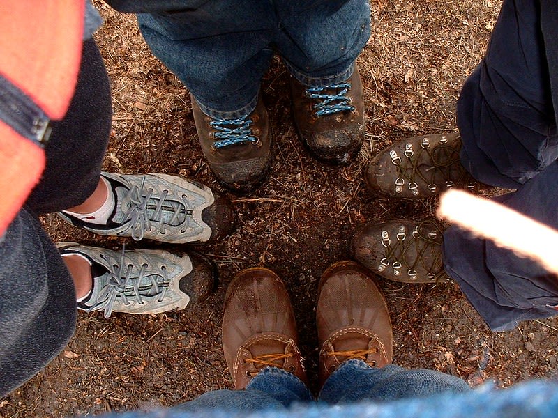 vamonos to mexico — Monarch Butterflies Mexico
