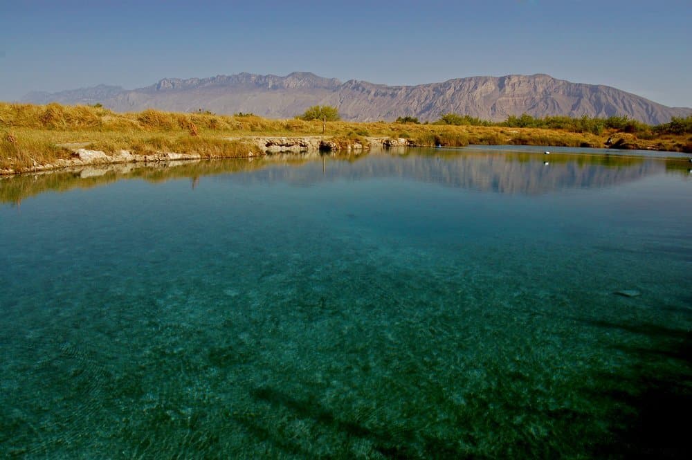 Cuatro Ciénegas desert pools — crystalline spring-fed pozas in the Coahuila biosphere reserve, unique ecology found nowhere else on Earth