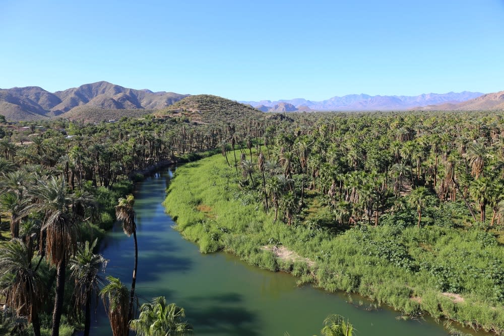 Mission Santa Rosalía de Mulegé — the 1766 Jesuit mission on the hillside above town, accessed by steep stone stairs