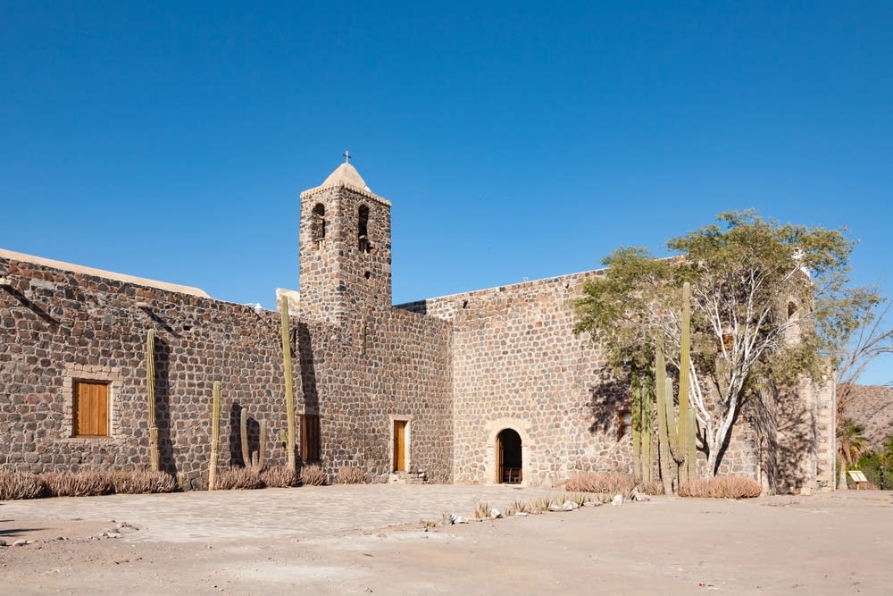 Mulege estuary and mangroves — Santa Rosalía River mouth where freshwater meets the Sea of Cortez near Mulegé town