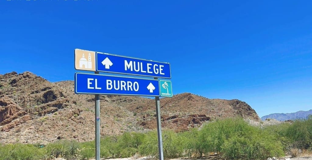 Mulege oasis town in Baja California Sur — the date palm grove and Santa Rosalía River estuary flowing to the Sea of Cortez