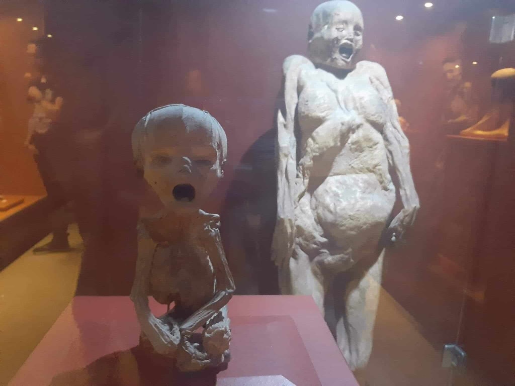 vamonos to mexico — Mummies Of Guanajuato