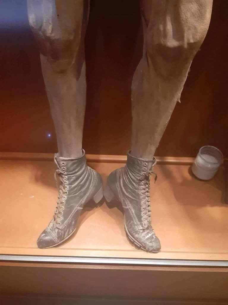 mummies guanajuato — Mummies Of Guanajuato