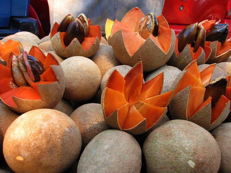 mamey — Non Alcoholic Mexican Drinks