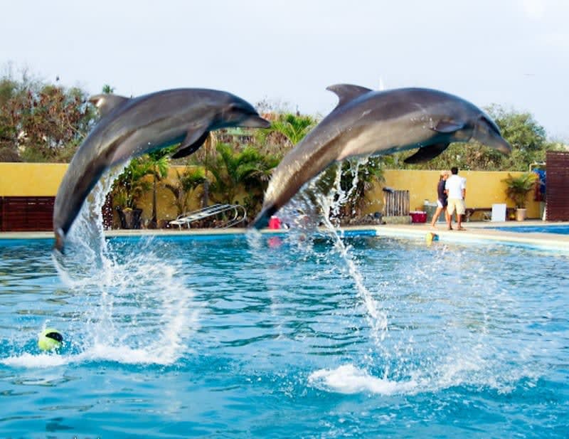 nuevo vallarta hotels