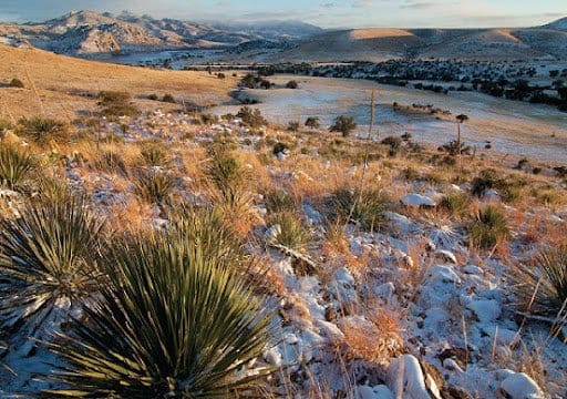 paquime casas grandes chihuahua