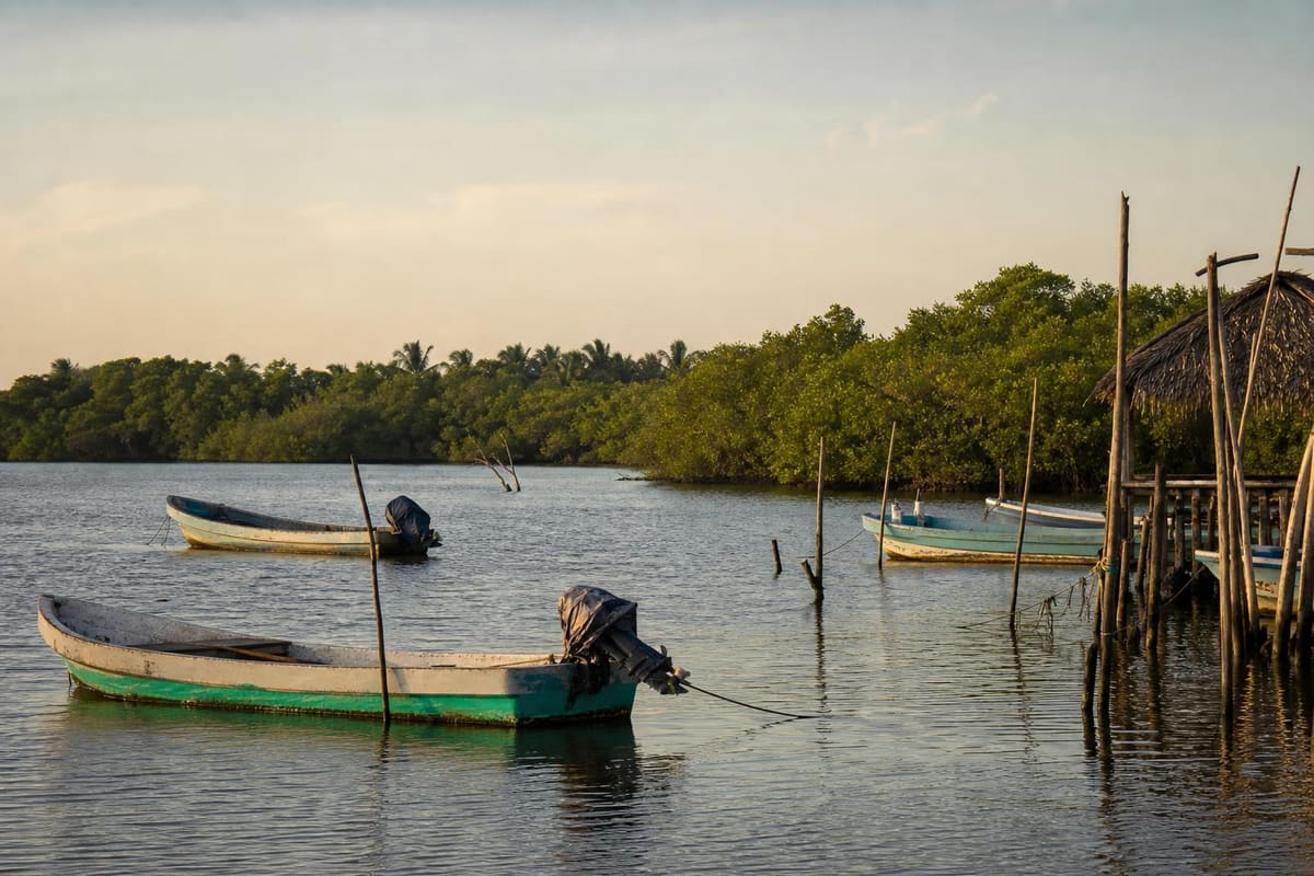 Fishing boats on Mecoacán Lagoon near Paraíso, Tabasco during a clear December morning