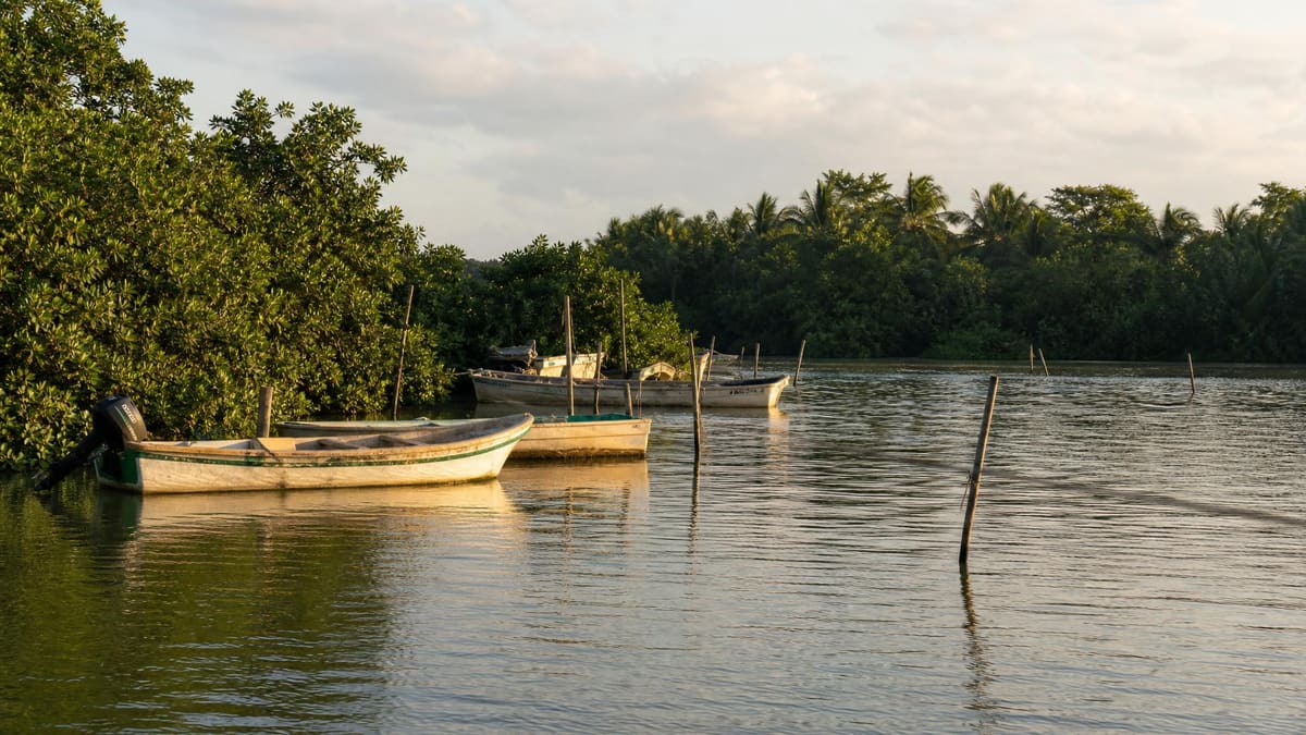 Fishing boats on Mecoacán Lagoon near Paraíso, Tabasco in calm November light