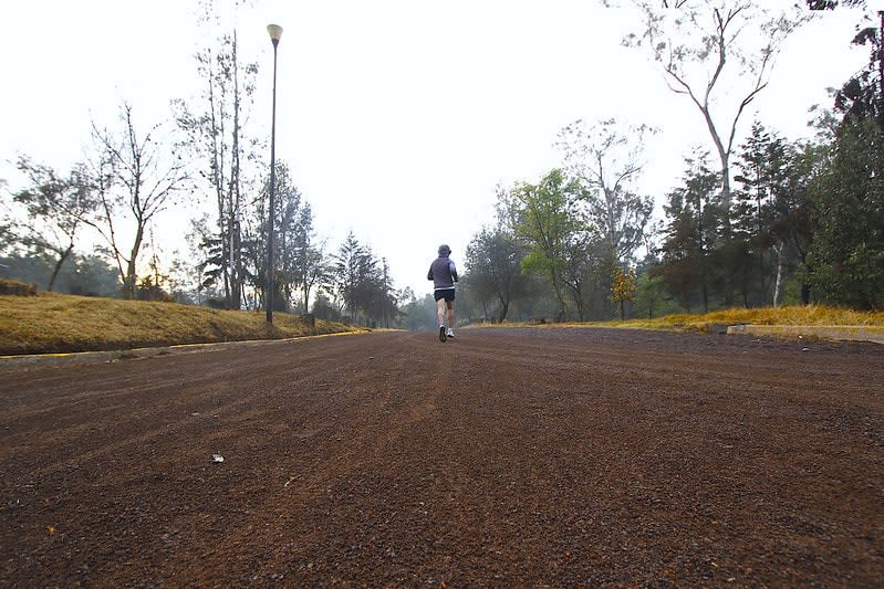 parks in mexico city
