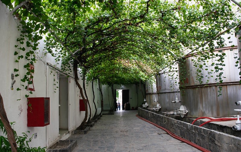 parras mexico — Parras De La Fuente Coahuila Mexico