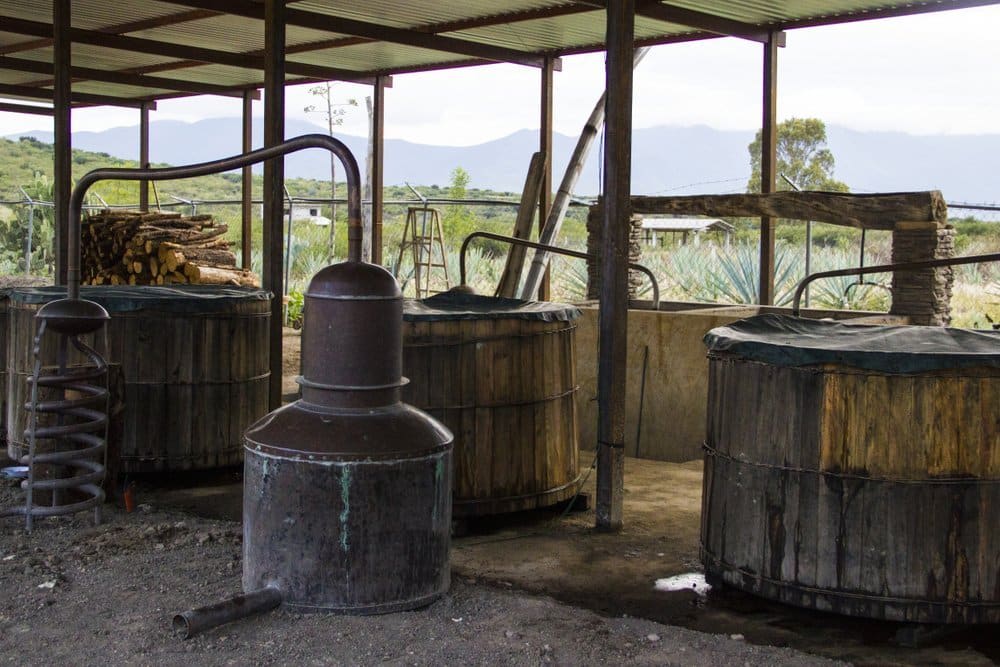 vamonos to mexico — Pechuga Mezcal