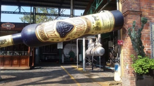 vamonos to mexico — Penjamo Guanajuato And Tequila Corralejo