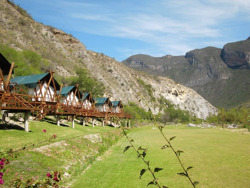 pinal de amoles jabali