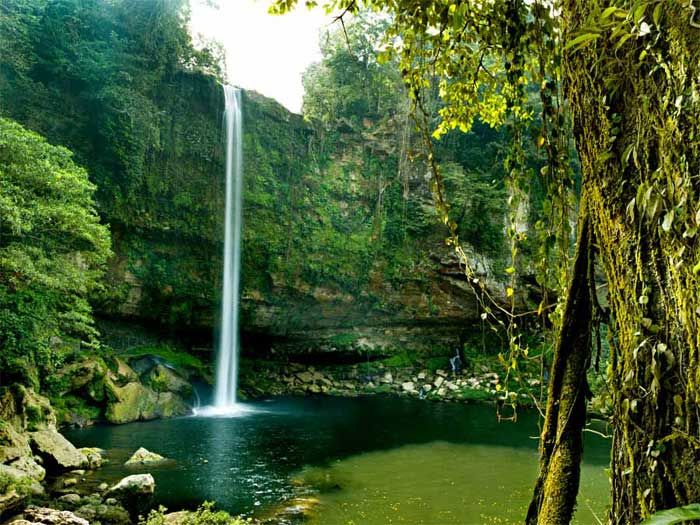 el salto waterfall — Pinal De Amoles Mexico
