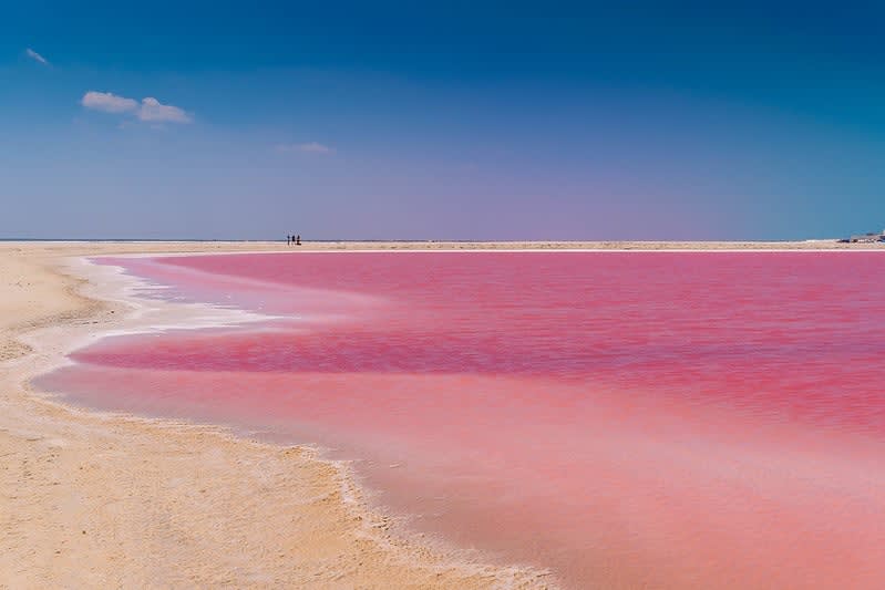 pink lagoon — Progreso Yucatan