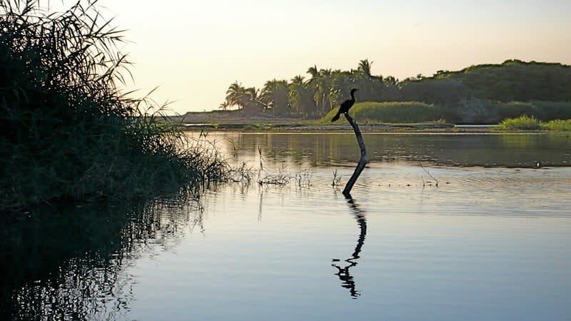 manialtepec lagoon — Puerto Escondido Oaxaca