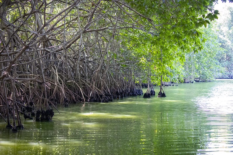 chacahua national park