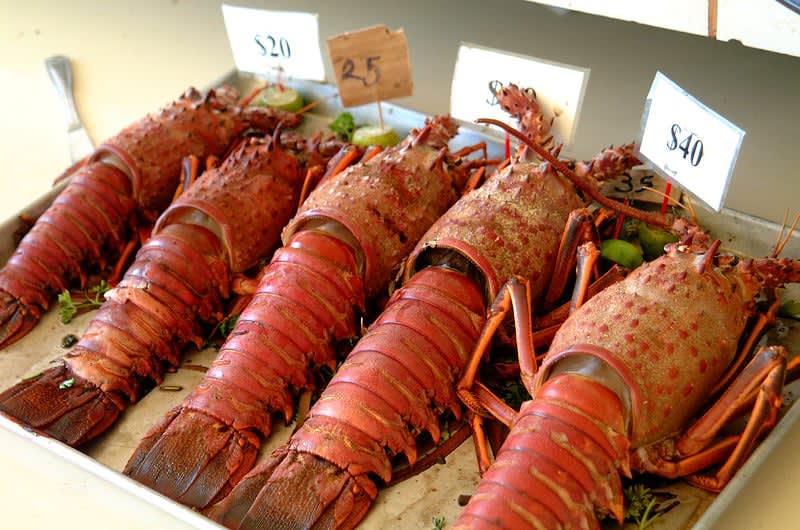 Fresh Baja lobster prepared Puerto Nuevo-style with butter and lemon