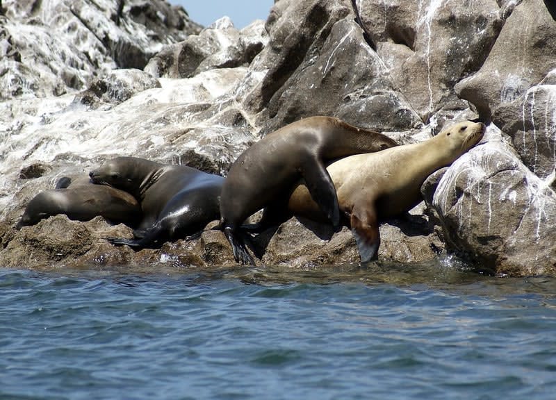 san jorge island — Puerto Penasco Mexico