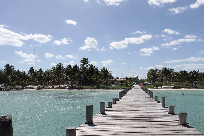 punta allen