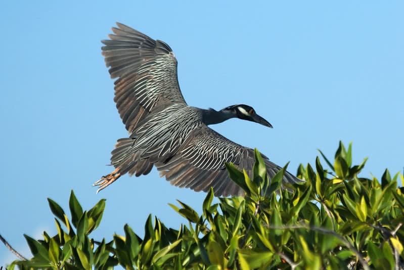 Sian Ka'an — Punta Allen