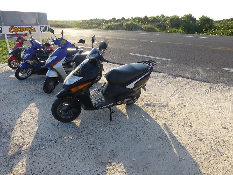 punta sur eco beach park cozumel