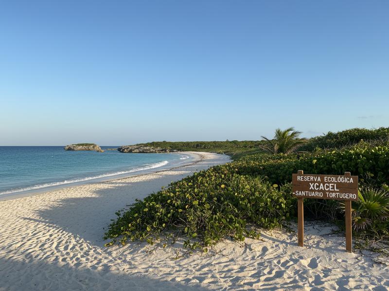 Protected beach near Xcacel in the Riviera Maya with turquoise Caribbean water