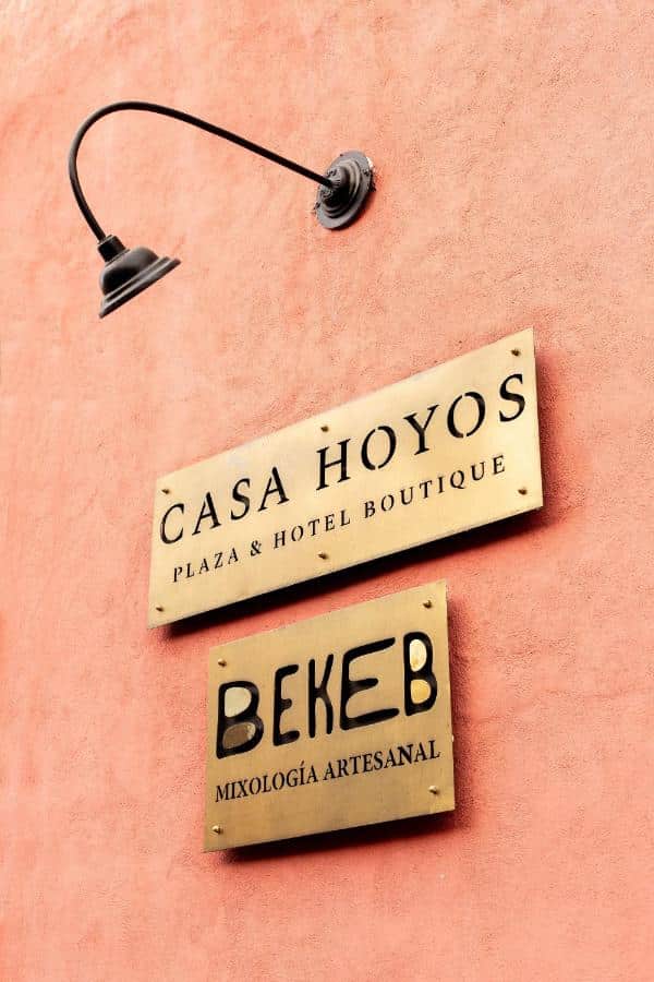 casa hoyos san miguel