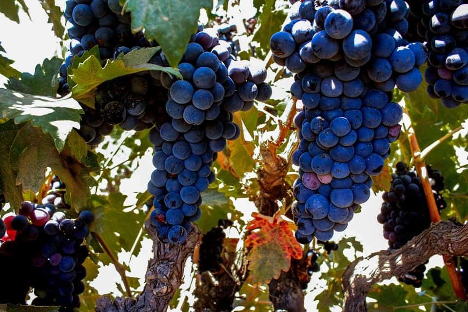 rosarito beach mexico