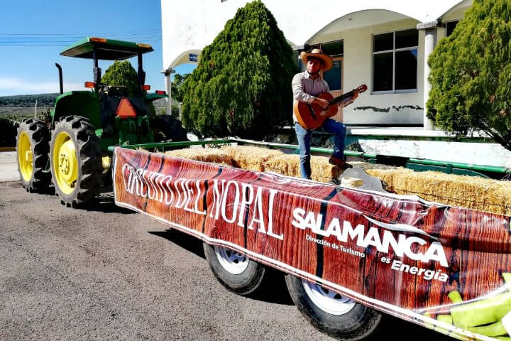 Salamanca, Guanajuato — colonial architecture and daily life in the city between the Laja and Lerma rivers