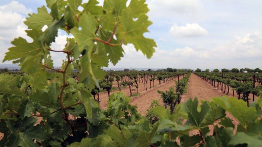 vamonos to mexico — San Juan Del Rio Queretaro