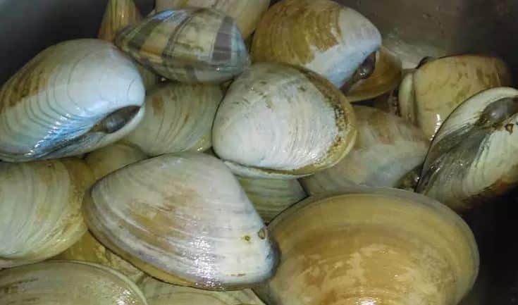 san quintin baja california