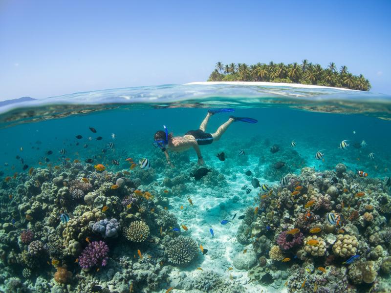 Family snorkeling together over shallow reef in Mexico's turquoise waters
