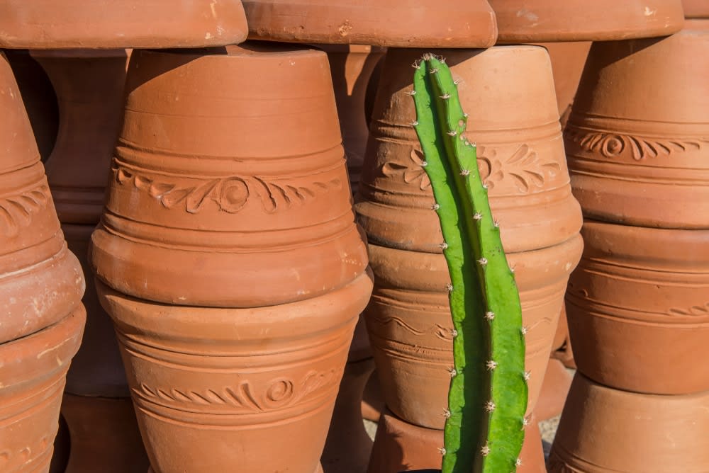 tecate mexico — Tecate, Baja California