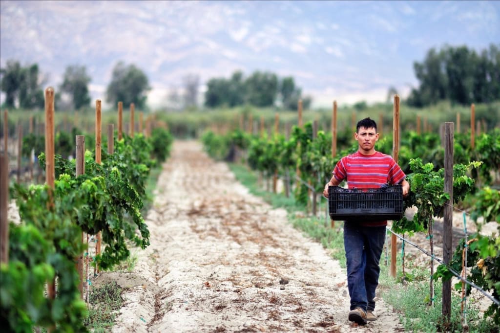 Wine Route Tecate Mexico