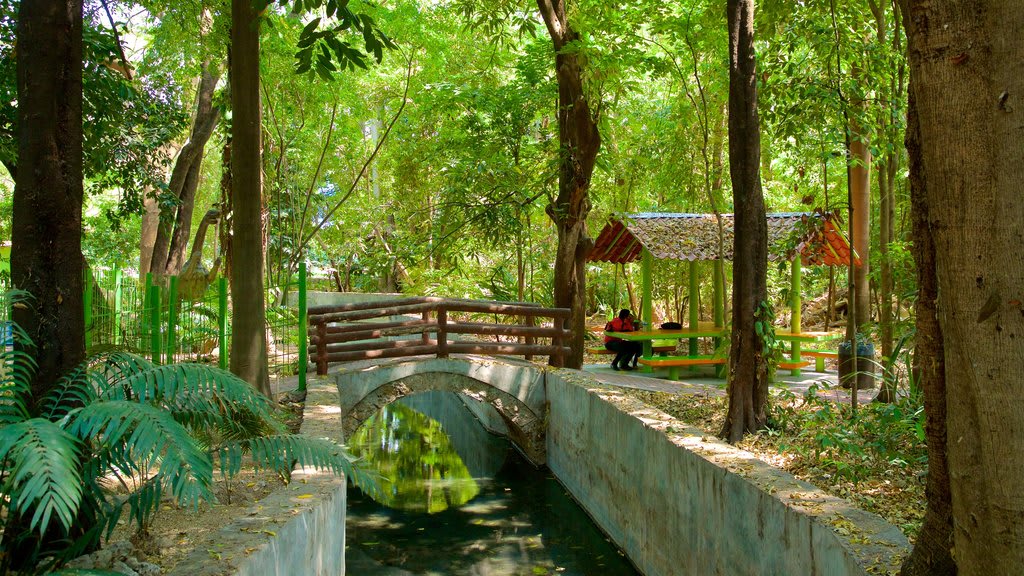 tuxtla gutierrez chiapas