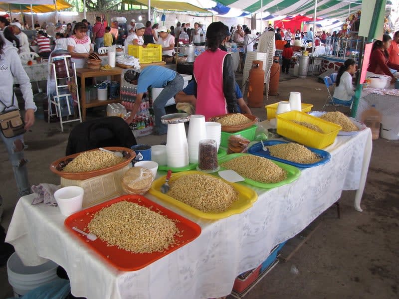 escamoles — What Are Escamoles