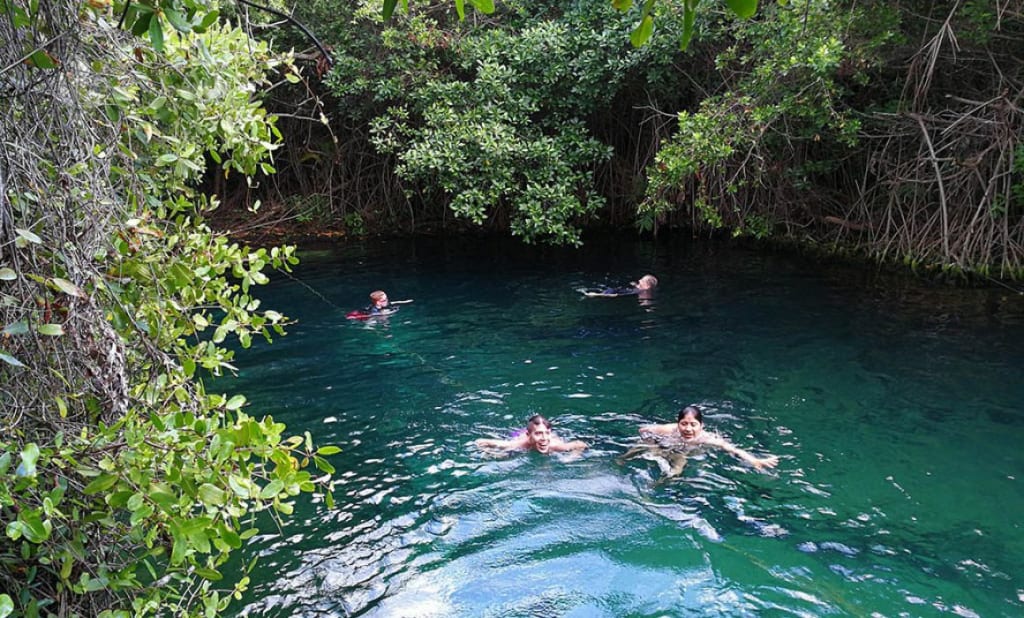 Xcacel Beach And Cenote Mexico