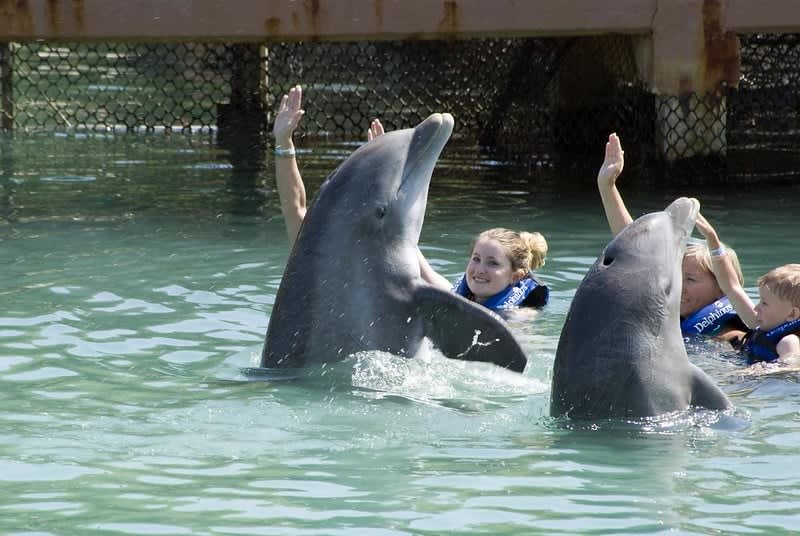 vamonos to mexico — Xel Ha Park