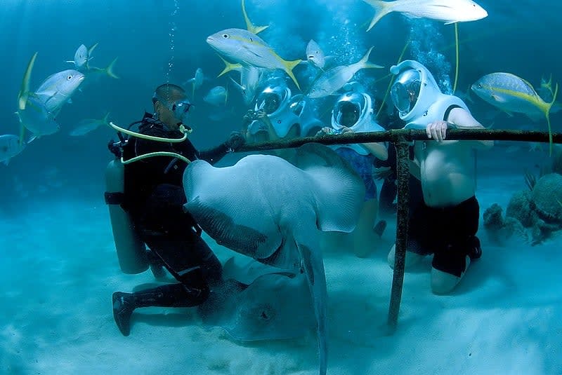 xel-ha park — Xel Ha Park