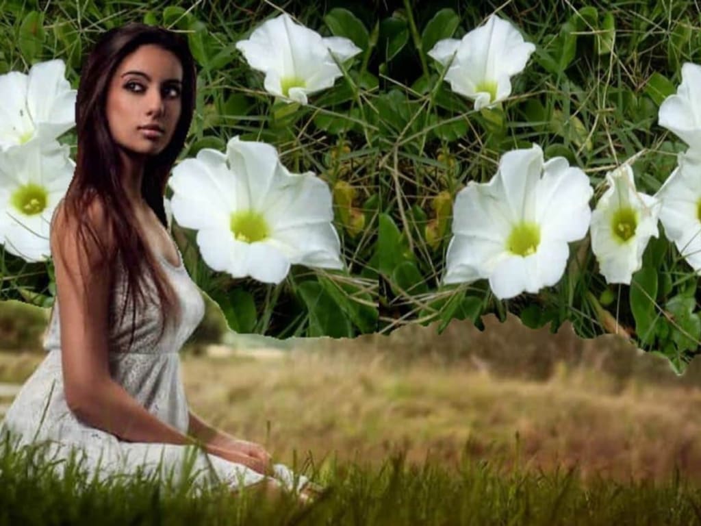 Woman in white dress beside large white flowers collage