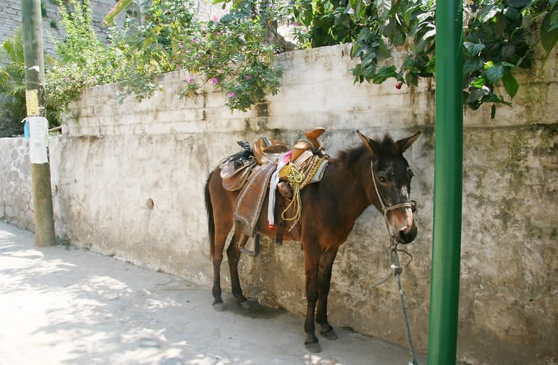 yelapa mexico — Yelapa And Quimixto
