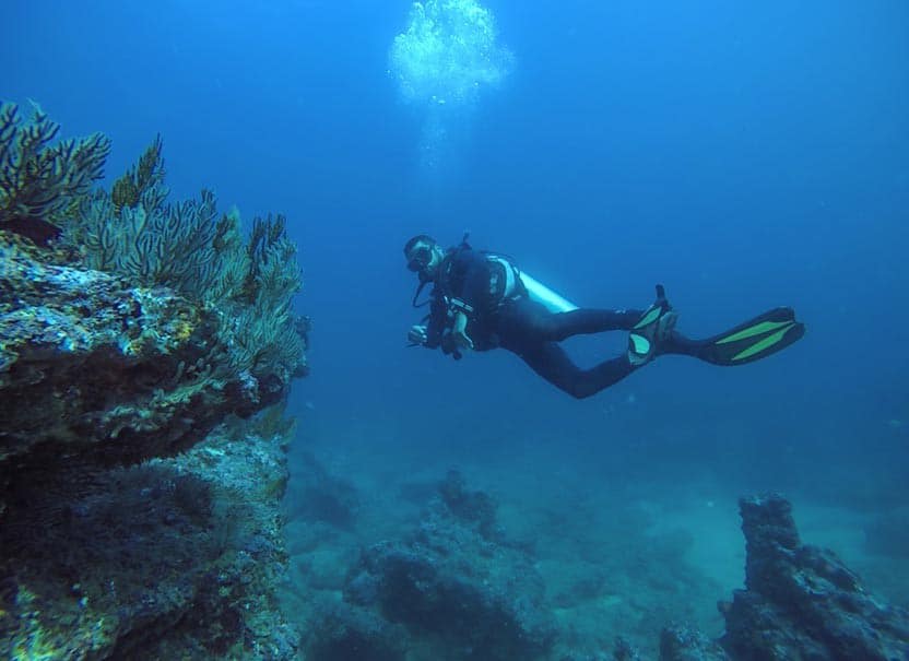 playa zicatela diving
