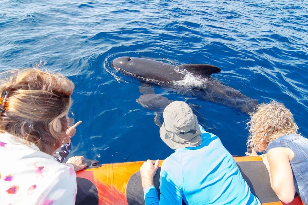 zicatela beach playa